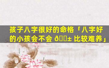 孩子八字很好的命格「八字好的小孩会不会 🐱 比较难养」